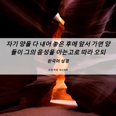 Picture 06 - 요한복음 10:4 KOR - 자기 양을 다 내어 놓은 후에 앞서 - Bible Verse Picture