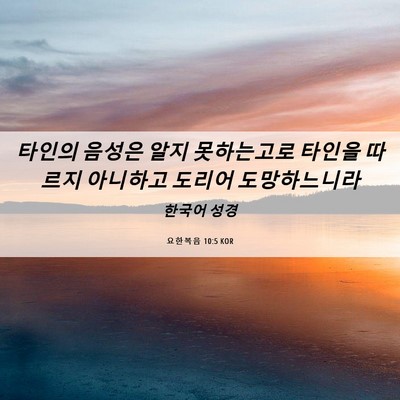 Picture 06 - 요한복음 10:5 KOR - 타인의 음성은 알지 못하는고로 - Bible Verse Picture
