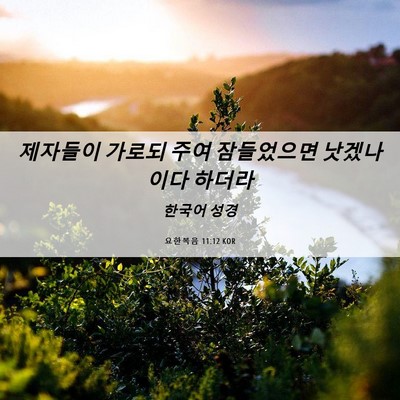 Picture 06 - 요한복음 11:12 KOR - 제자들이 가로되 주여 잠들었으면 - Bible Verse Picture