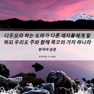 Picture 06 - 요한복음 11:16 KOR - 디두모라 하는 도마가 다른 - Bible Verse Picture