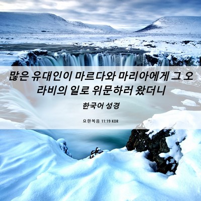 Picture 06 - 요한복음 11:19 KOR - 많은 유대인이 마르다와 마리아에게 - Bible Verse Picture