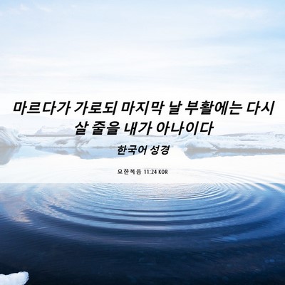 Picture 06 - 요한복음 11:24 KOR - 마르다가 가로되 마지막 날 부활에는 - Bible Verse Picture