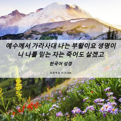 Picture 06 - 요한복음 11:25 KOR - 예수께서 가라사대 나는 부활이요 - Bible Verse Picture