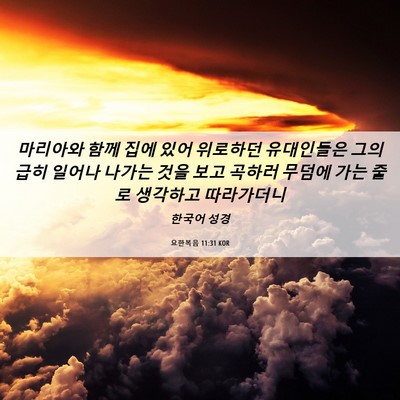 Picture 06 - 요한복음 11:31 KOR - 마리아와 함께 집에 있어 위로하던 - Bible Verse Picture
