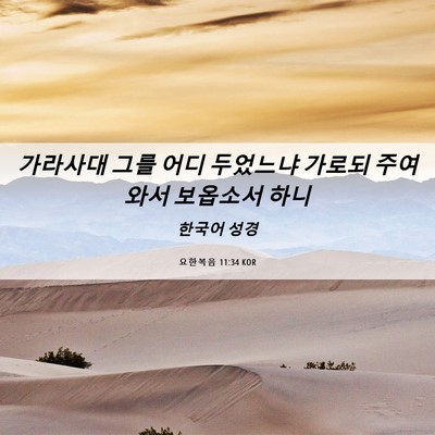 Picture 06 - 요한복음 11:34 KOR - 가라사대 그를 어디 두었느냐 가로되 - Bible Verse Picture