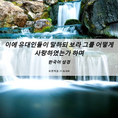 Picture 06 - 요한복음 11:36 KOR - 이에 유대인들이 말하되 보라 그를 - Bible Verse Picture