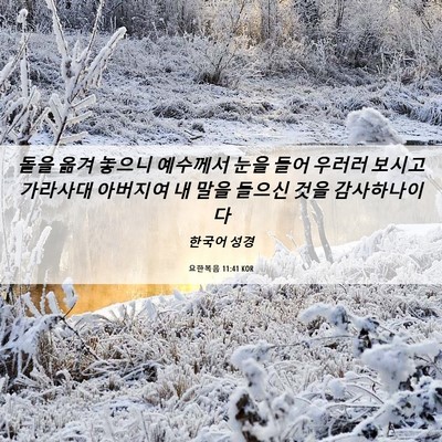 Picture 06 - 요한복음 11:41 KOR - 돌을 옮겨 놓으니 예수께서 눈을 - Bible Verse Picture