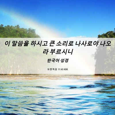 Picture 06 - 요한복음 11:43 KOR - 이 말씀을 하시고 큰 소리로 - Bible Verse Picture