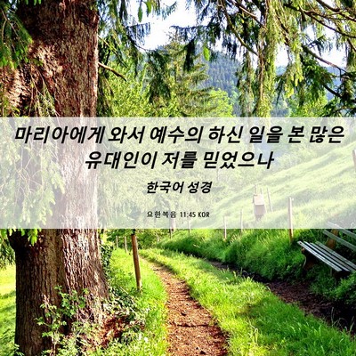 Picture 06 - 요한복음 11:45 KOR - 마리아에게 와서 예수의 하신 일을 - Bible Verse Picture