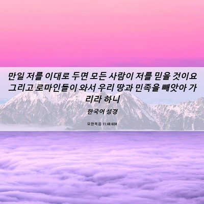 Picture 06 - 요한복음 11:48 KOR - 만일 저를 이대로 두면 모든 사람이 - Bible Verse Picture