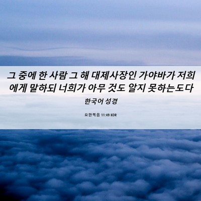 Picture 06 - 요한복음 11:49 KOR - 그 중에 한 사람 그 해 대제사장인 - Bible Verse Picture