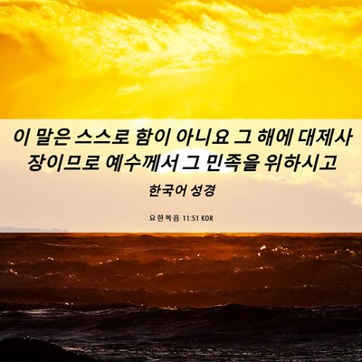 Picture 06 - 요한복음 11:51 KOR - 이 말은 스스로 함이 아니요 그 해에 - Bible Verse Picture