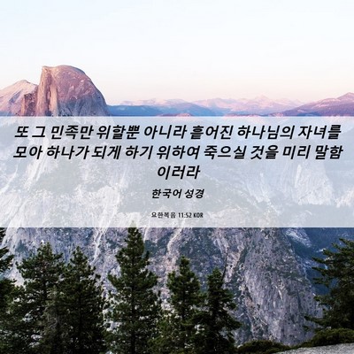 Picture 06 - 요한복음 11:52 KOR - 또 그 민족만 위할뿐 아니라 흩어진 - Bible Verse Picture