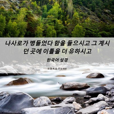 Picture 06 - 요한복음 11:6 KOR - 나사로가 병들었다 함을 들으시고 그 - Bible Verse Picture