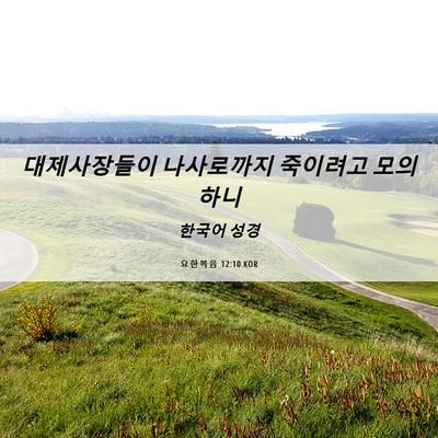 Picture 06 - 요한복음 12:10 KOR - 대제사장들이 나사로까지 죽이려고 - Bible Verse Picture