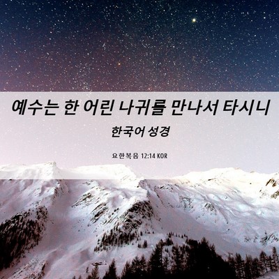 Picture 06 - 요한복음 12:14 KOR - 예수는 한 어린 나귀를 만나서 - Bible Verse Picture