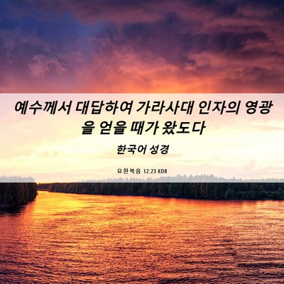 Picture 06 - 요한복음 12:23 KOR - 예수께서 대답하여 가라사대 인자의 - Bible Verse Picture