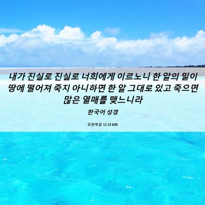 Picture 06 - 요한복음 12:24 KOR - 내가 진실로 진실로 너희에게 - Bible Verse Picture
