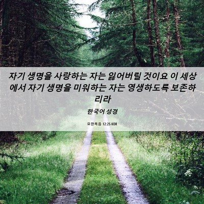 Picture 06 - 요한복음 12:25 KOR - 자기 생명을 사랑하는 자는 잃어버릴 - Bible Verse Picture