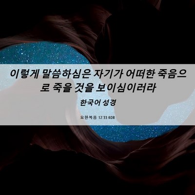 Picture 06 - 요한복음 12:33 KOR - 이렇게 말씀하심은 자기가 어떠한 - Bible Verse Picture