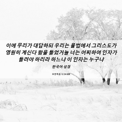 Picture 06 - 요한복음 12:34 KOR - 이에 무리가 대답하되 우리는 - Bible Verse Picture