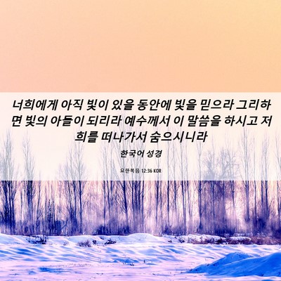 Picture 06 - 요한복음 12:36 KOR - 너희에게 아직 빛이 있을 동안에 - Bible Verse Picture