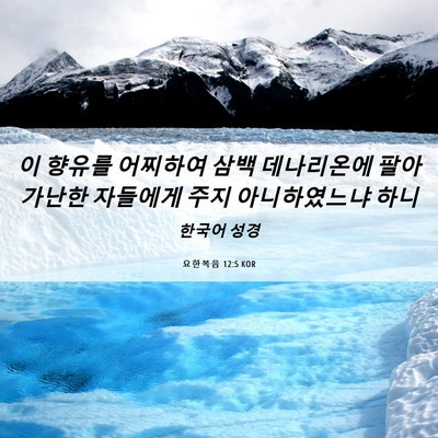 Picture 06 - 요한복음 12:5 KOR - 이 향유를 어찌하여 삼백 데나리온에 - Bible Verse Picture