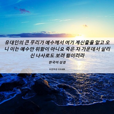Picture 06 - 요한복음 12:9 KOR - 유대인의 큰 무리가 예수께서 여기 - Bible Verse Picture
