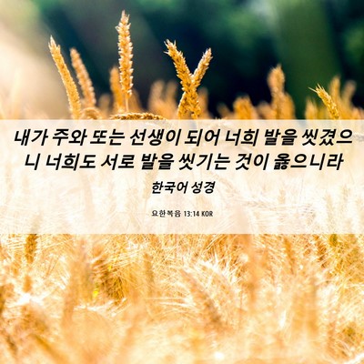 Picture 06 - 요한복음 13:14 KOR - 내가 주와 또는 선생이 되어 너희 - Bible Verse Picture