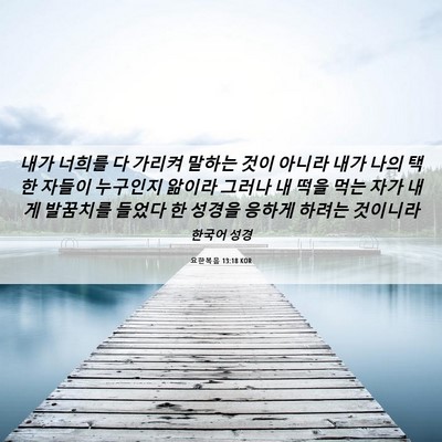Picture 06 - 요한복음 13:18 KOR - 내가 너희를 다 가리켜 말하는 것이 - Bible Verse Picture
