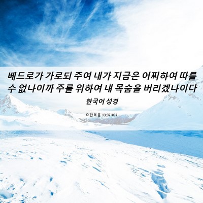 Picture 06 - 요한복음 13:37 KOR - 베드로가 가로되 주여 내가 지금은 - Bible Verse Picture