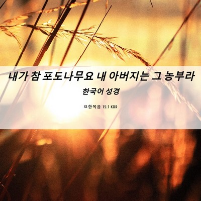 Picture 06 - 요한복음 15:1 KOR - 내가 참 포도나무요 내 아버지는 그 - Bible Verse Picture