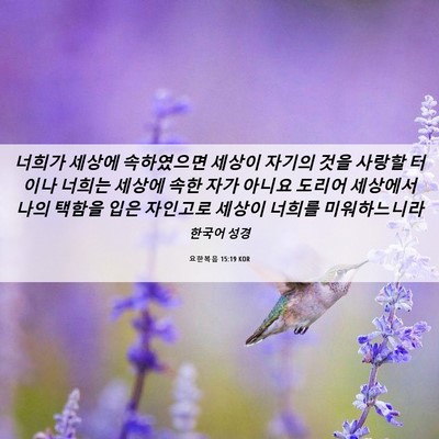 Picture 06 - 요한복음 15:19 KOR - 너희가 세상에 속하였으면 세상이 - Bible Verse Picture
