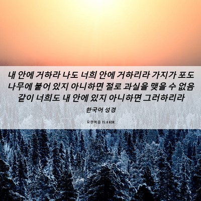 Picture 06 - 요한복음 15:4 KOR - 내 안에 거하라 나도 너희 안에 - Bible Verse Picture