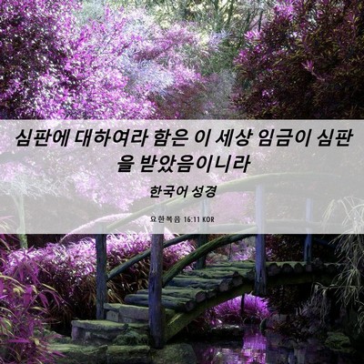 Picture 06 - 요한복음 16:11 KOR - 심판에 대하여라 함은 이 세상 - Bible Verse Picture