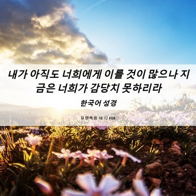 Picture 06 - 요한복음 16:12 KOR - 내가 아직도 너희에게 이를 것이 - Bible Verse Picture