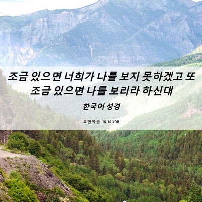 Picture 06 - 요한복음 16:16 KOR - 조금 있으면 너희가 나를 보지 - Bible Verse Picture