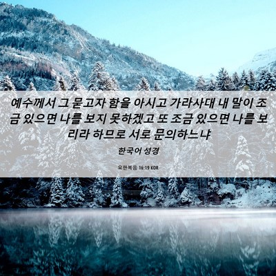 Picture 06 - 요한복음 16:19 KOR - 예수께서 그 묻고자 함을 아시고 - Bible Verse Picture