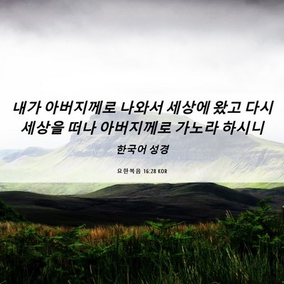 Picture 06 - 요한복음 16:28 KOR - 내가 아버지께로 나와서 세상에 왔고 - Bible Verse Picture