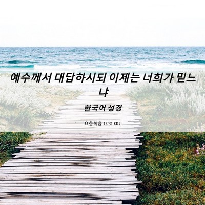 Picture 06 - 요한복음 16:31 KOR - 예수께서 대답하시되 이제는 너희가 - Bible Verse Picture