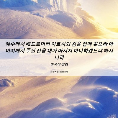 Picture 06 - 요한복음 18:11 KOR - 예수께서 베드로더러 이르시되 검을 - Bible Verse Picture