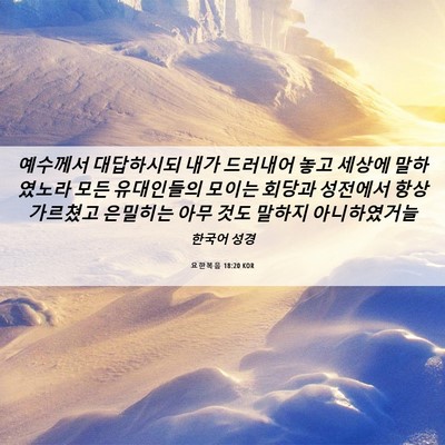 Picture 06 - 요한복음 18:20 KOR - 예수께서 대답하시되 내가 드러내어 - Bible Verse Picture