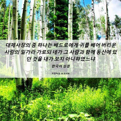 Picture 06 - 요한복음 18:26 KOR - 대제사장의 종 하나는 베드로에게 - Bible Verse Picture
