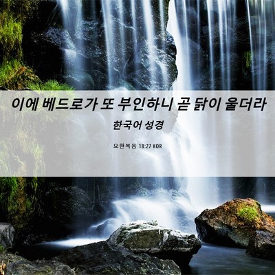 Picture 06 - 요한복음 18:27 KOR - 이에 베드로가 또 부인하니 곧 닭이 - Bible Verse Picture