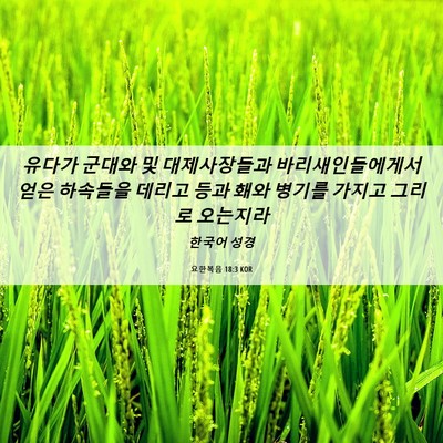 Picture 06 - 요한복음 18:3 KOR - 유다가 군대와 및 대제사장들과 - Bible Verse Picture