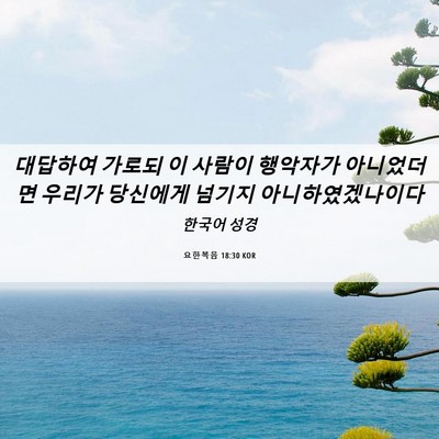 Picture 06 - 요한복음 18:30 KOR - 대답하여 가로되 이 사람이 행악자가 - Bible Verse Picture