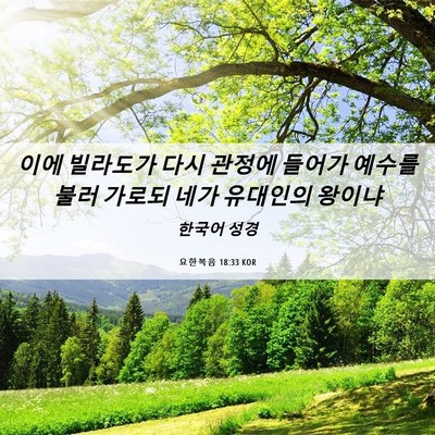 Picture 06 - 요한복음 18:33 KOR - 이에 빌라도가 다시 관정에 들어가 - Bible Verse Picture