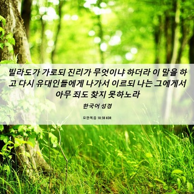 Picture 06 - 요한복음 18:38 KOR - 빌라도가 가로되 진리가 무엇이냐 - Bible Verse Picture