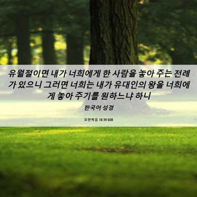 Picture 06 - 요한복음 18:39 KOR - 유월절이면 내가 너희에게 한 사람을 - Bible Verse Picture