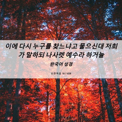 Picture 06 - 요한복음 18:7 KOR - 이에 다시 누구를 찾느냐고 물으신대 - Bible Verse Picture